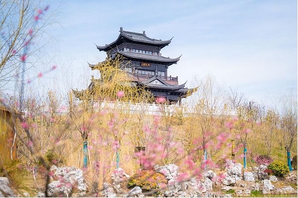 以太坊交易实战笔记：当纪律遇上幸运女神的眷顾