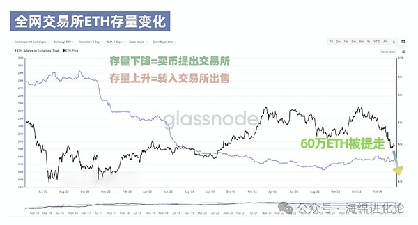 模块化区块链新星Celestia：从技术原理到市场表现的全方位解读