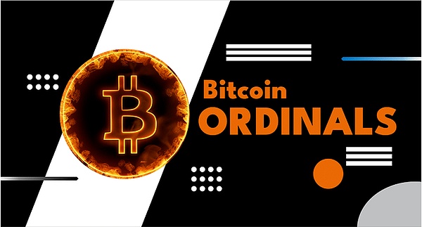 熊市中的惊喜发现：Doubler项目为何让我眼前一亮