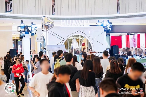 市场回暖之际：FXS与BLZ的布局策略解析